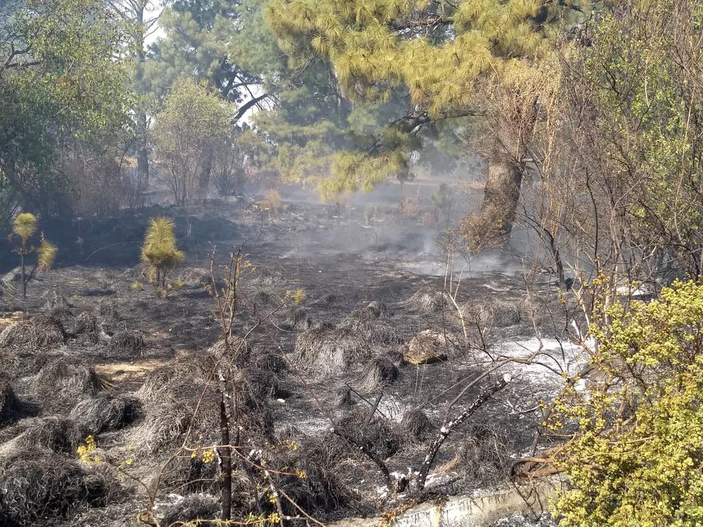 PoliciaSsc's tweet photo. La Policía de Montaña de la #SSCTLX al realizar recorrido hacia San Felipe Cuahutenco ubica un conato de un incendio en terreno de labor y parte del bosque mismo que es extinguido en su totalidad.
#PorUnTlaxcalaSeguro
#CrecerJuntos2020 https://t.co/Ql1SQdBaOQ