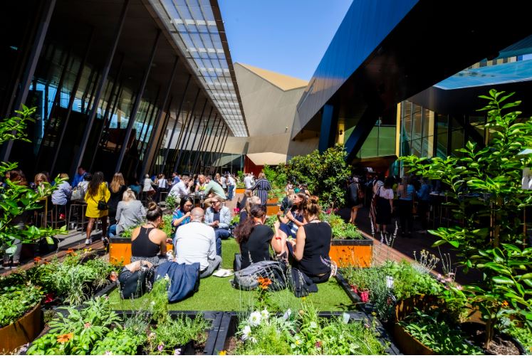 MCEC's tweet photo. We have installed 36 permanent #FoodCubes in our courtyard 🌱. Each cube can grow 25kg of produce and will be used to grow herbs and produce! The #BioFilta food cubes are made by #recycled materials and were installed by #thesustainablelandscapecompany @Biofilta #sustainability https://t.co/VaV64ynm6V