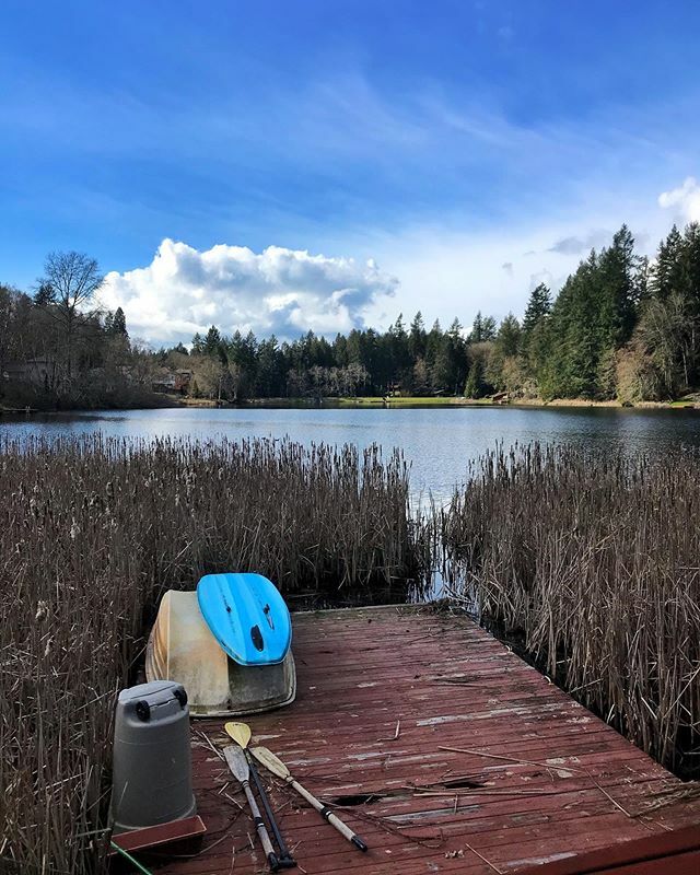 Walking to a different collection of trees and old things bolsters my sanity a bit. Takes the edge off the cabin fever. 
I also love that I found a discrete place to pee on the walk back.  #coronaviruscabinfever #walkingforsanity ift.tt/32ZgBdu