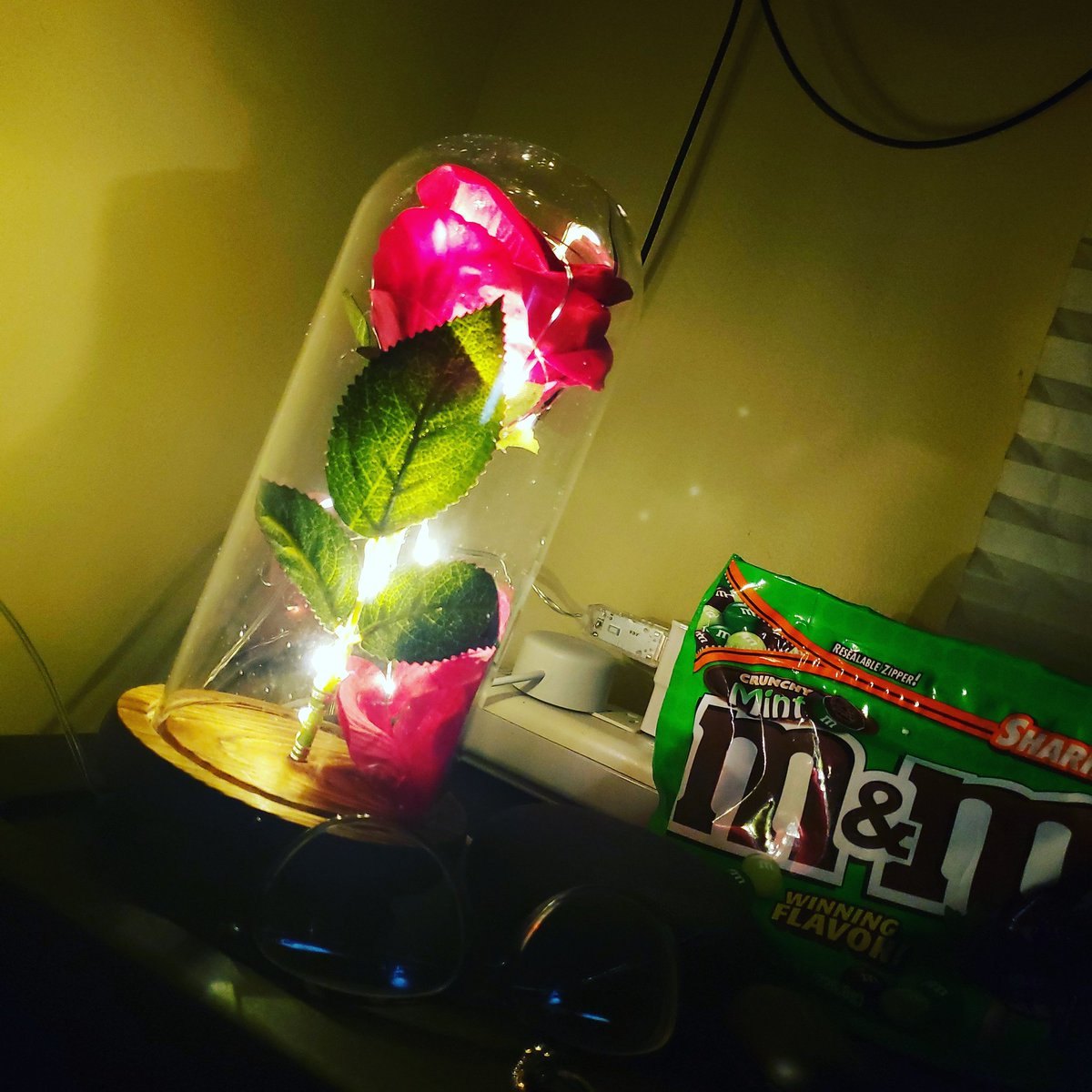 feistyrosefl's tweet image. @Anorak_00 brought me home a #BeautyAndTheBeast #MagicRose 🥰🥰🥰 #LuckyWife