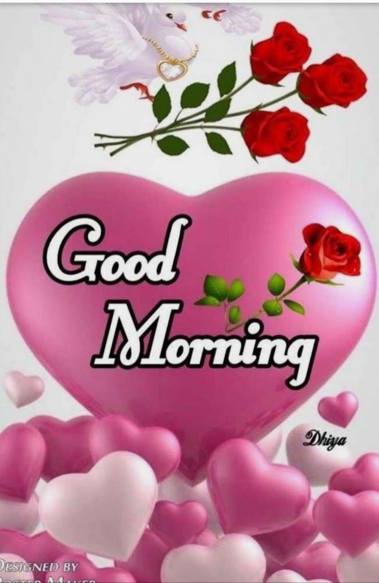 JOHNXAVIERRAJ1's tweet photo. https://t.co/zMQdSbhIZT