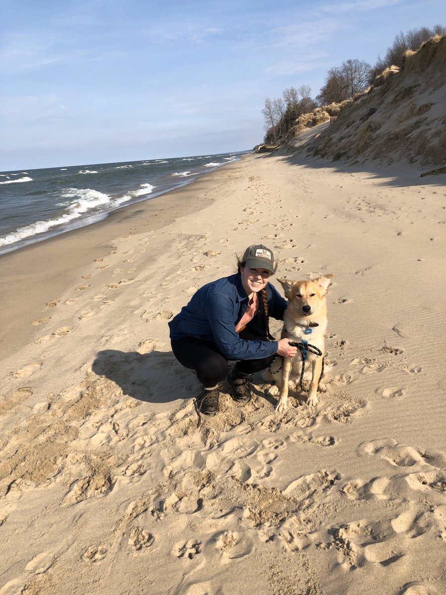 a_pfeifer3's tweet photo. First trip to the beach for both dogs! #LakeMichigan #doggyfunday https://t.co/7JxDNJWXBN