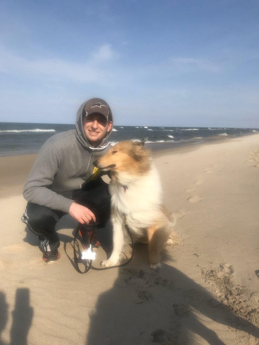 a_pfeifer3's tweet photo. First trip to the beach for both dogs! #LakeMichigan #doggyfunday https://t.co/7JxDNJWXBN