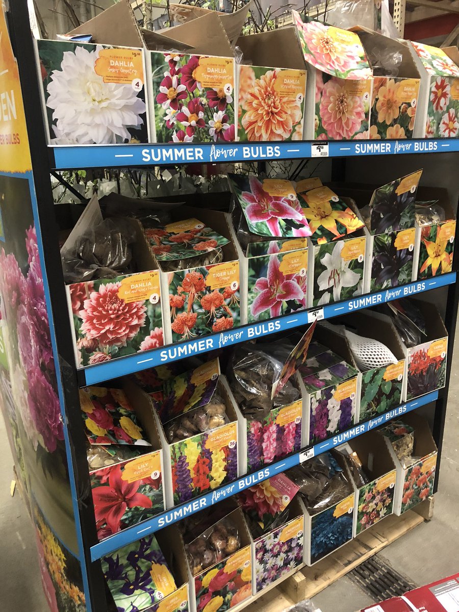 Healthier_Heath's tweet photo. Roses are red ,lillies are yellow ect ect.  Come by and see me for some flowers for the season! #str2219 #thd #spring2020 #fun #gardening #planting #spring #shop #plant @NyntcheO @asando54 @JimDavisSASM @THDTHEHODGE @NoelHRivera1 https://t.co/qnGPg2SEam