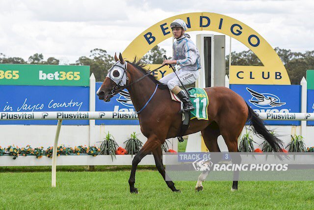 Cloud9Tbreds's tweet photo. Last start winner #DISENCHANTED heads to @BallTurfClub today in search of back-to-back victories for @Cloud9Tbreds and @LiamRiordan97.
☁️9️⃣🤞
All the best to connections!
#raceday #horseracing #cloud9 #thoroughbred #fortheowners https://t.co/ekeSKinXwD