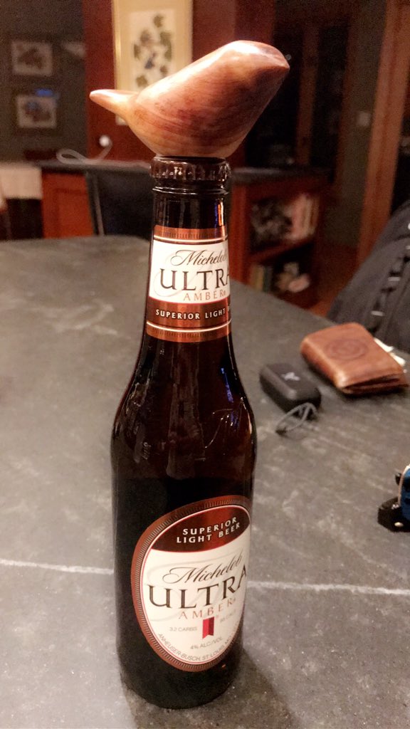 ultra365's tweet photo. A bird on its perch #ultra365 #doitforthecheers @MichelobULTRA https://t.co/j9iUMVt4i6