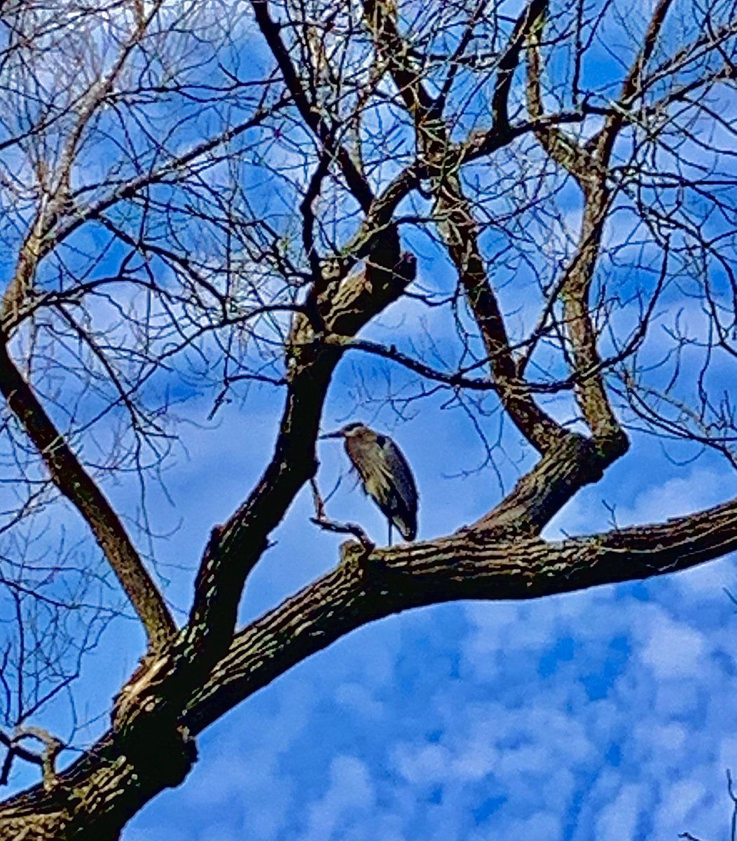 Blessed twice in two days.  ✨