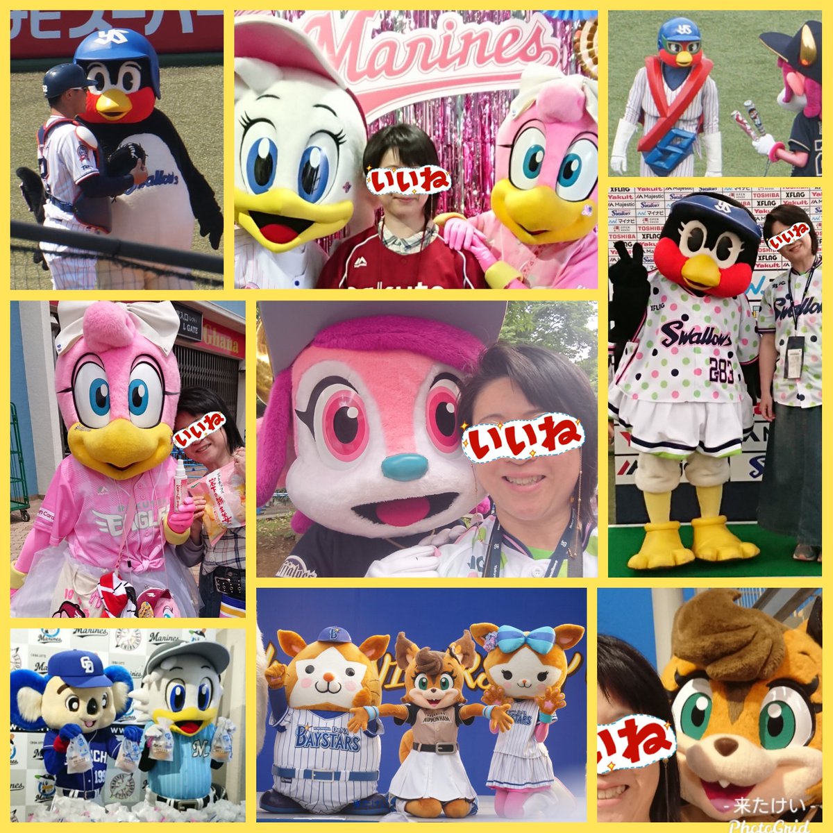 Kei6drop's tweet photo. 2019年は交流戦頑張ったので念願のべるちゃんやポリーちゃんに会えたしクラッチーナちゃんにポテチ持たせてもろた！けど台風で２週間停電断水で年１のお楽しみほのぴーに会えなかったしいつでも会えると油断して地元が疎かに！でも武蔵野線を使う事を覚え世界が広がった！2020は茨城と神奈川を攻めたい https://t.co/KB7lcHwx0Y
