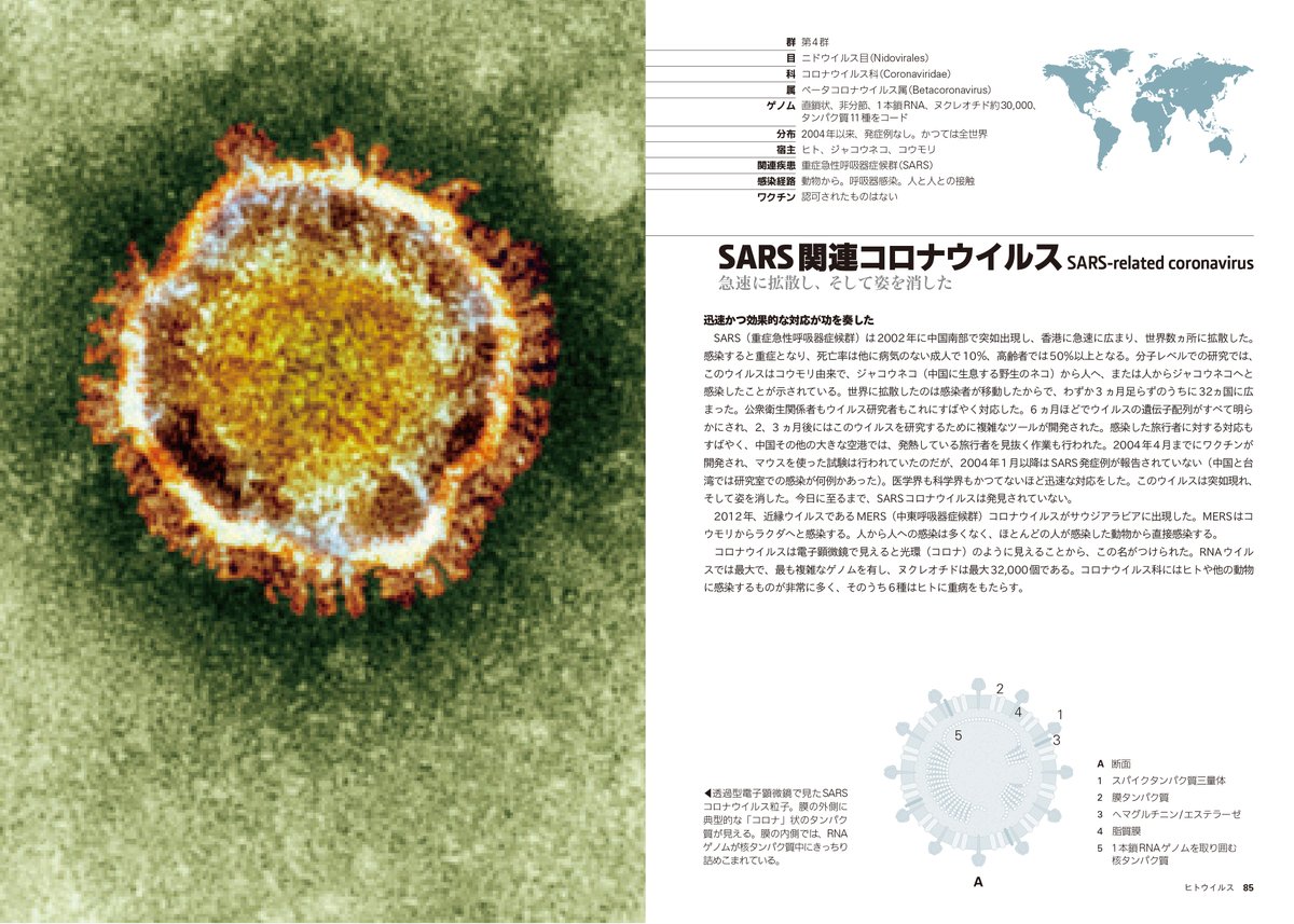 図書出版 創元社 新型コロナウイルスの関係か 美しい電子顕微鏡写真と構造図で見る ウイルス図鑑 101 の売上が伸びています まずは専門家の方々による最新情報をご確認ください そのうえで ウイルスという存在の多様性をビジュアルと共に学べる本書を