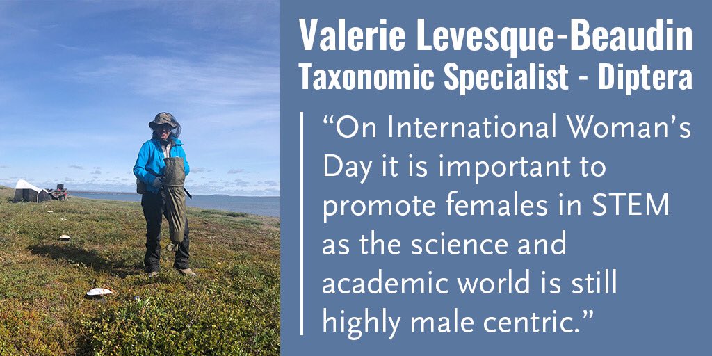 CBG_UofG's tweet photo. #InternationalWomensDay #WomenInSTEM #biodiversity https://t.co/hJLHwSgV4g