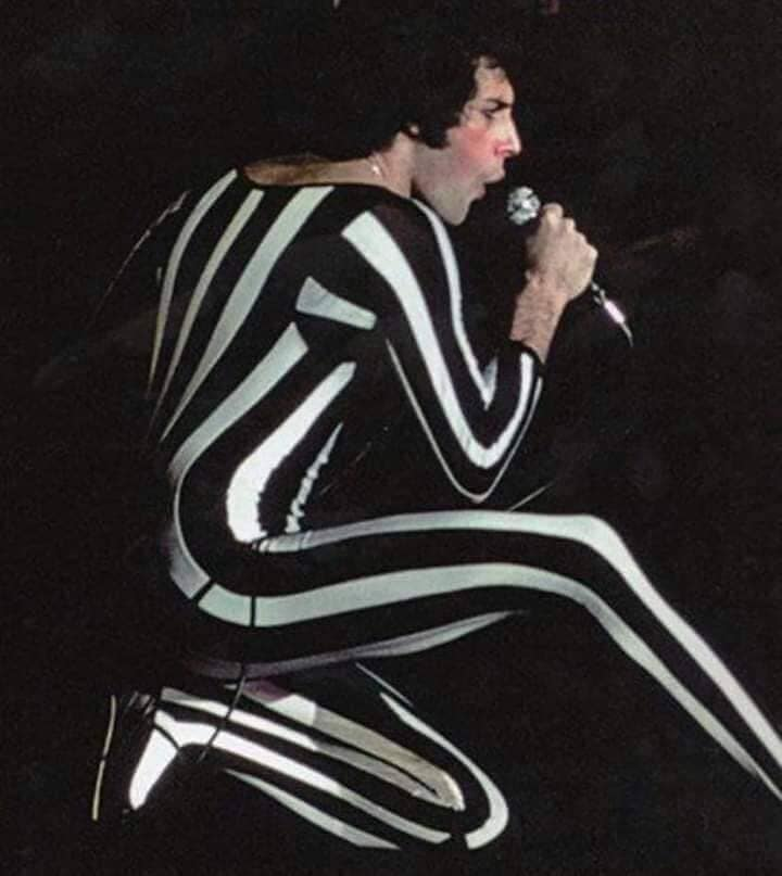 Mery_LovesFredd's tweet photo. @jo_drowse @OIQFC @QueenieOfNorway @_merina__ @violetnyanco @freddiequeenluv @rogbrijohnfred4 @yeon_Queen1233 @misfeller @QueenFanzone @shoko615 @freddie_addict @risudayon @ciccy11271 @PaddisonDiana @lady_freddie_ Happy week to you all!! 💕💕💕

#FreddieMercury 
#Queen 
#MondayMorning https://t.co/mTZp3GpqHX