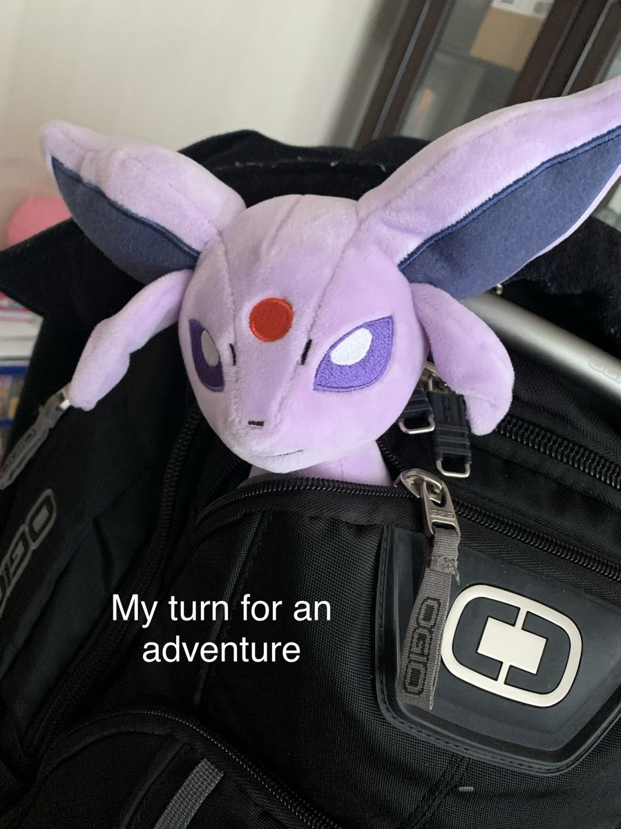 PokemonPlushie's tweet photo. #espeon is ready to go to Louisville, Kentucky! @pokemon @PokemonNewsUK @pokemon_jpn #pokemon #pokémon #pokemongo #pokemongo Watch our own Kadie-Mon open Pokémon Cards #pokemoncards on YouTube https://t.co/almFzppKpu https://t.co/oshFbzpz6V