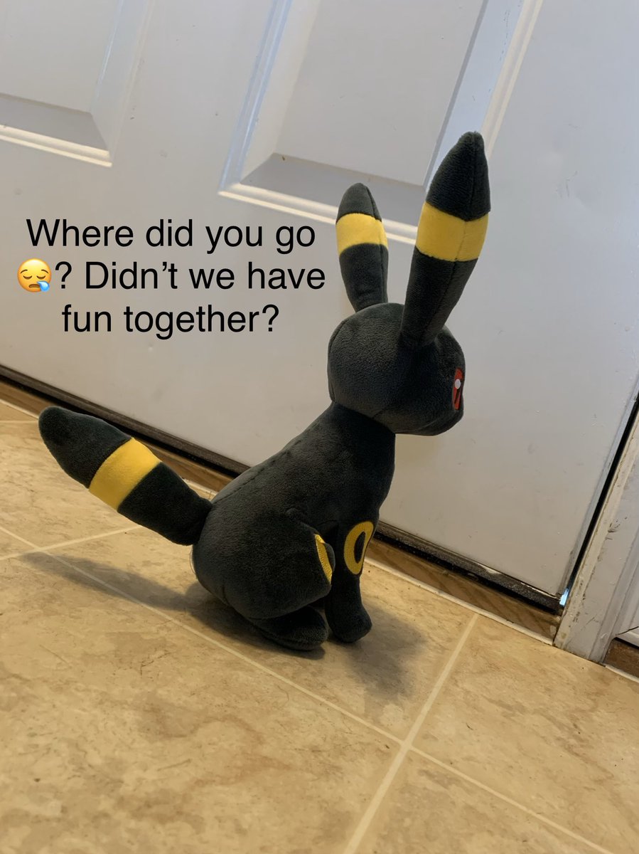 PokemonPlushie's tweet photo. #leftbehind #umbreon got left at home. #heartbreaking @pokemon_jpn @pokemon_revolution_cards @pokemon #pokemon #pokemonswordshield #poké Watch our own Kadie-Mon open Pokémon Cards #pokemoncards on YouTube https://t.co/almFzppKpu https://t.co/miqevnWBDF