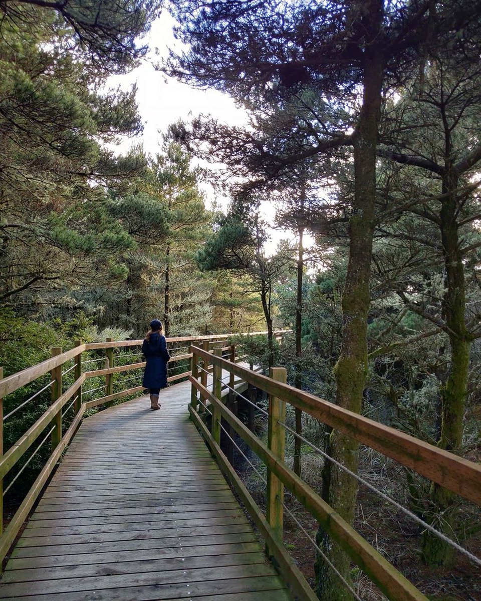 オレゴンを楽しむには詰め込みすぎないのがコツ。時々立ち止まって、自然の声に耳を傾けてみて！
#旅に出たい