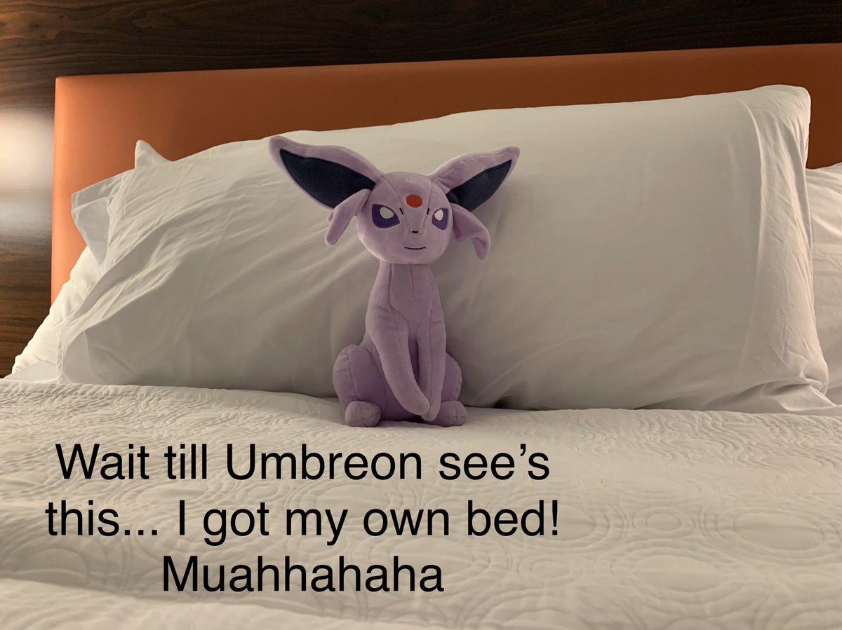 PokemonPlushie's tweet photo. #espeon made it to @home2suites in #louisville #kentucky #umbreon is going to be jealous she has her own bed #umbreoncosplay #espeon Watch our own Kadie-Mon open Pokémon Cards #pokemoncards on YouTube https://t.co/almFzppKpu https://t.co/74q94TcPlu
