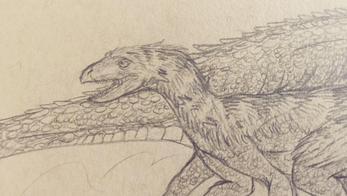 Finch_Party's tweet photo. oh yea finished this piece earlier of Polonosuchus chasing a Silesaurus #dinosaurs #Paleoart #paleontology #silesaurus #polonosuchus #ArtistOnTwitter https://t.co/o25vzqPr2d