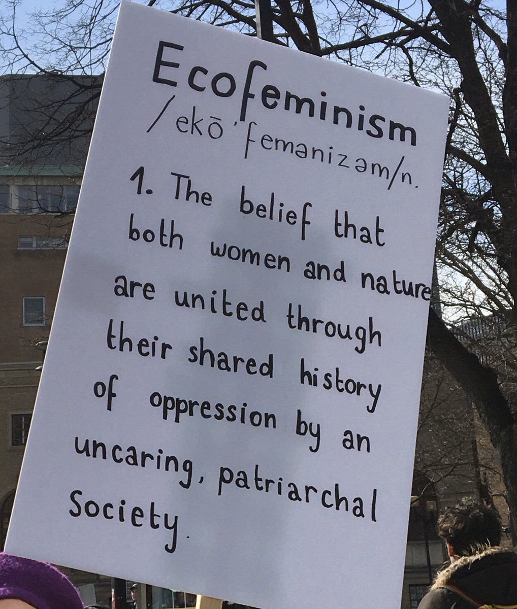 #ECOFEMINISM: the belief that both #women and #nature are united through their shared history of #oppression by an uncaring, #patriarchal society. 🌿🌹#InternationalWomensDay #InternationalWomenDay2020 #ExtinctionRebellion
