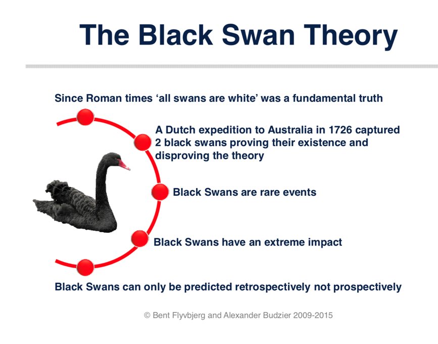 black swan event investing for beginners