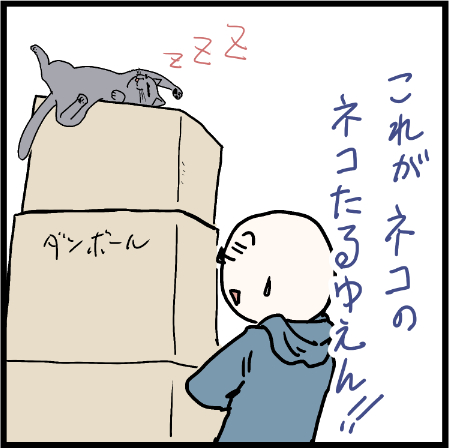 猫としての資格とは・・・(キリッ)
#猫好き 