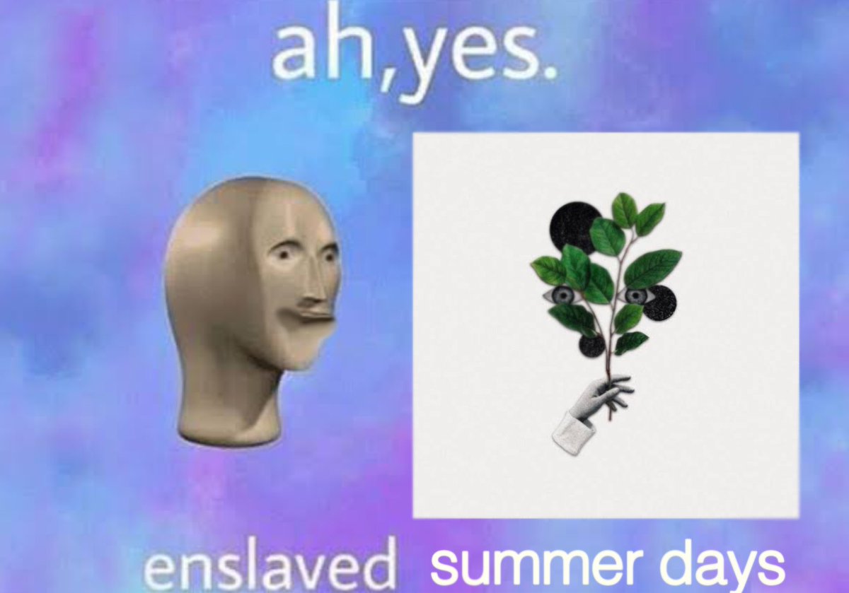 ネコムシ tweet media