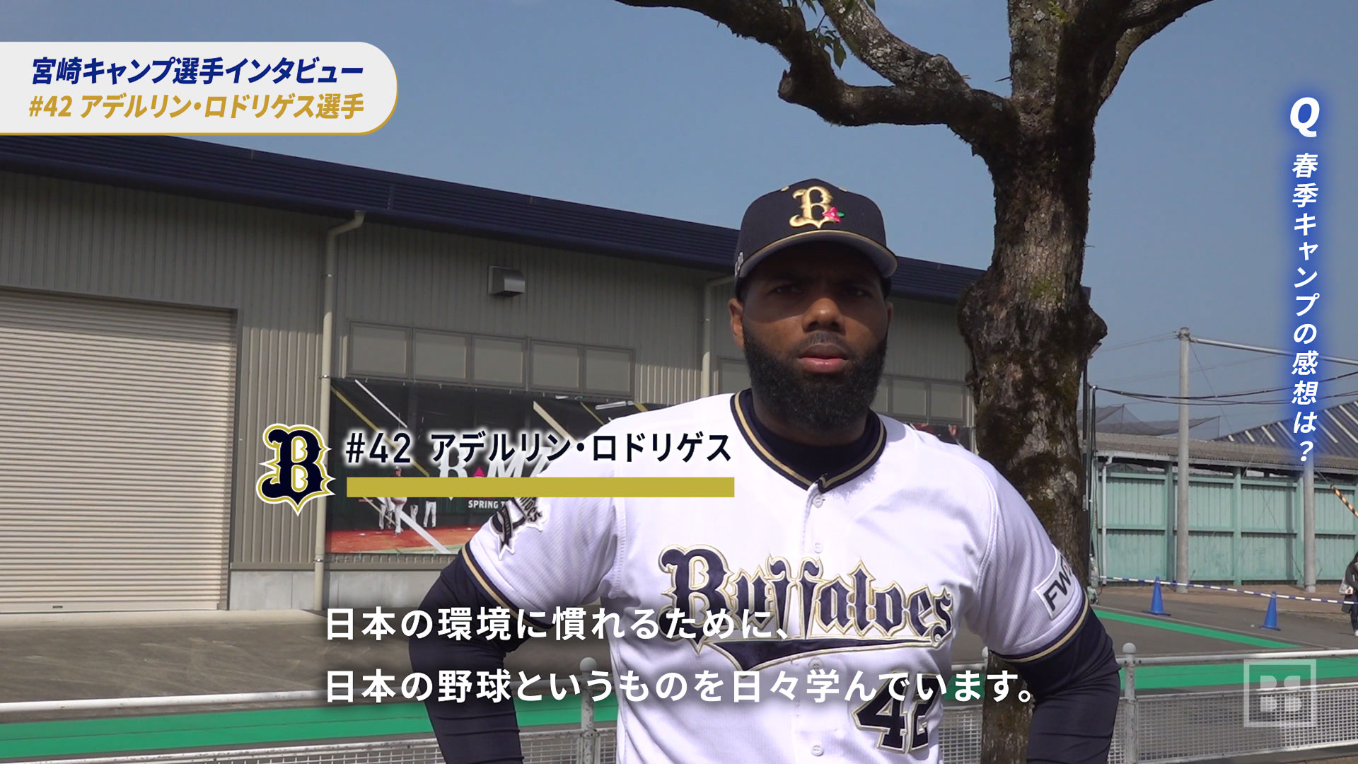 Bs春季キャンプ Twitter Search Twitter