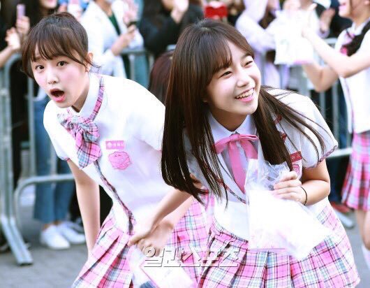 箱入りトマト ユルイェンも派手な女になったもんだよ