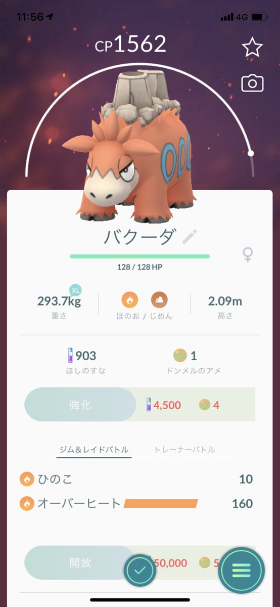 桜 日奈子 ドンメル進化した ポケモンgoフレンド募集