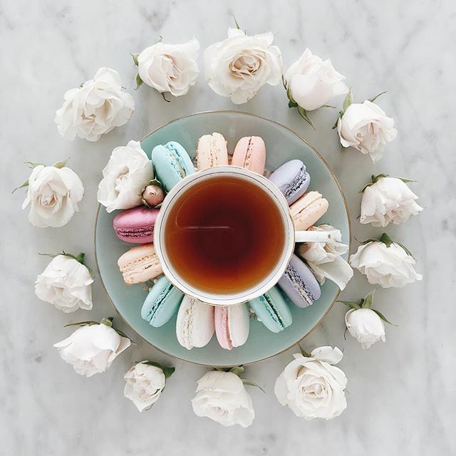 Happy International Women's Day! This is a day to recognize women's achievements and we personally want to say thank you to all of the women in our life, our mothers, partners, friends and coworkers. Thank you for all you do every day!
– David &amp; Yann 📸: @house_of_douglas