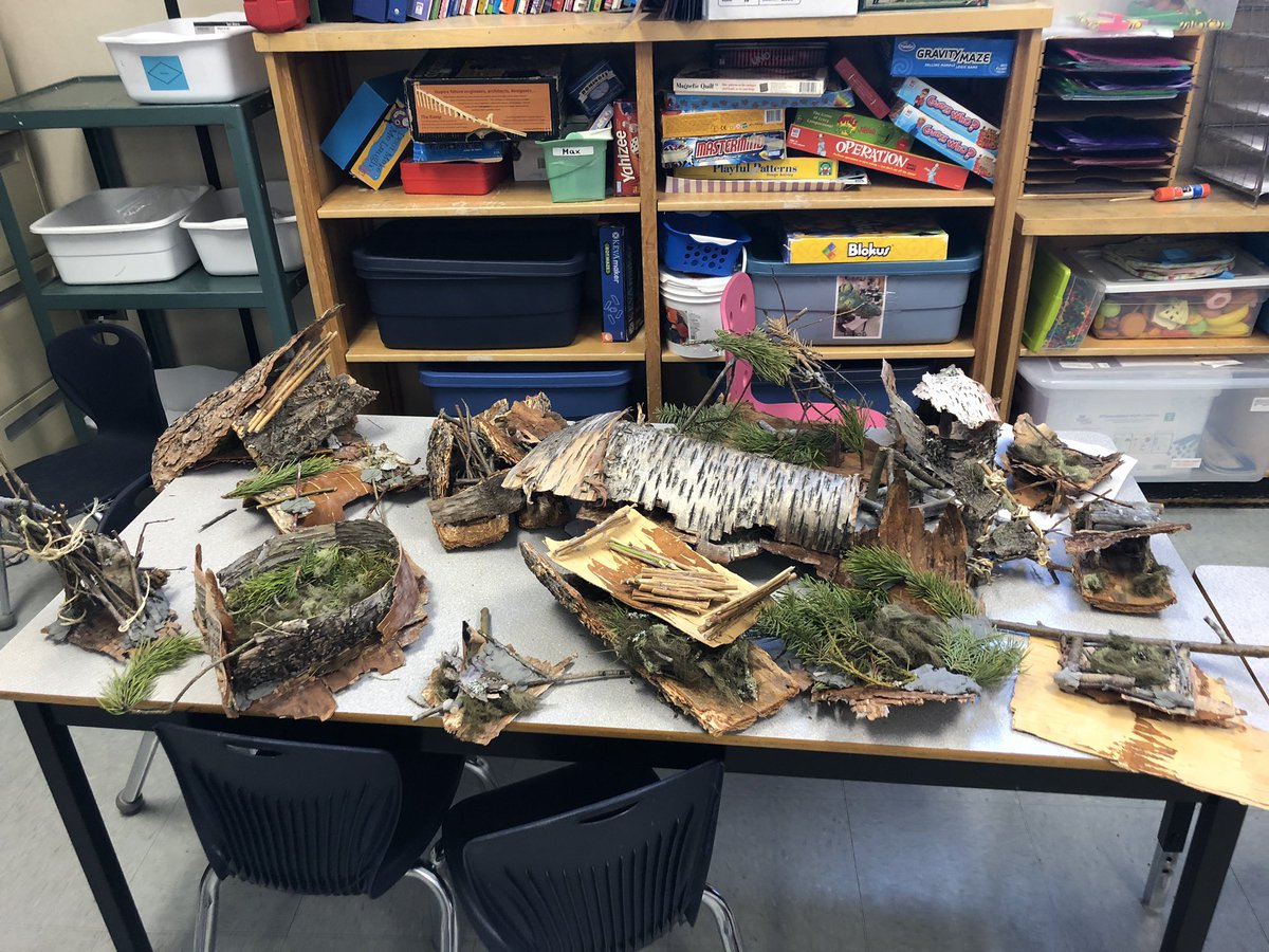 My grade 1/2 class amazes me with their creativity. Here we took materials and planned a design for a habitat. We then built our habitats and dropped them off at Cottonwood Island Park! #experientiallearning #educ491 #unbced