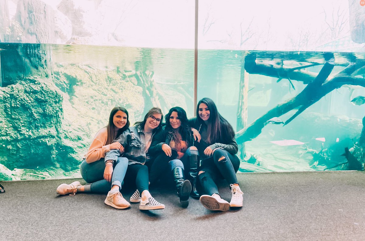 #InternationalWomensDay was W I L D🦓