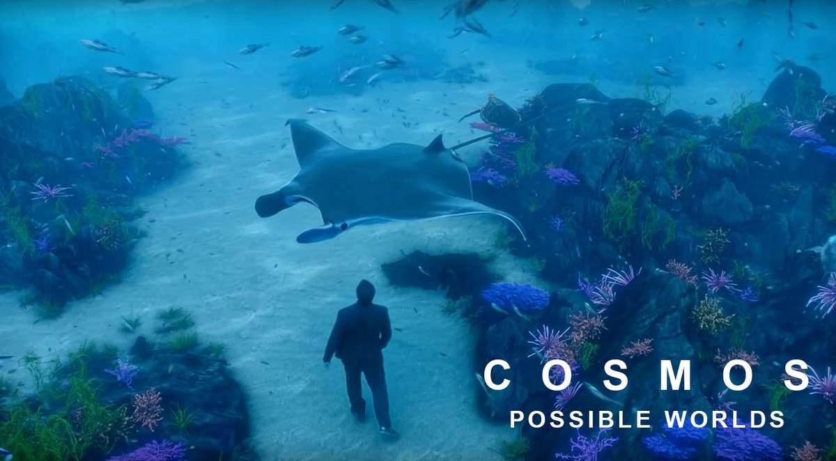 What if you could visit the Palace of Life to witness life’s 4 billion year history on this planet? You WILL on this season of COSMOS: POSSIBLE WORLDS! Watch tomorrow night, March 9, on <a href="/NatGeo/">National Geographic</a>.
