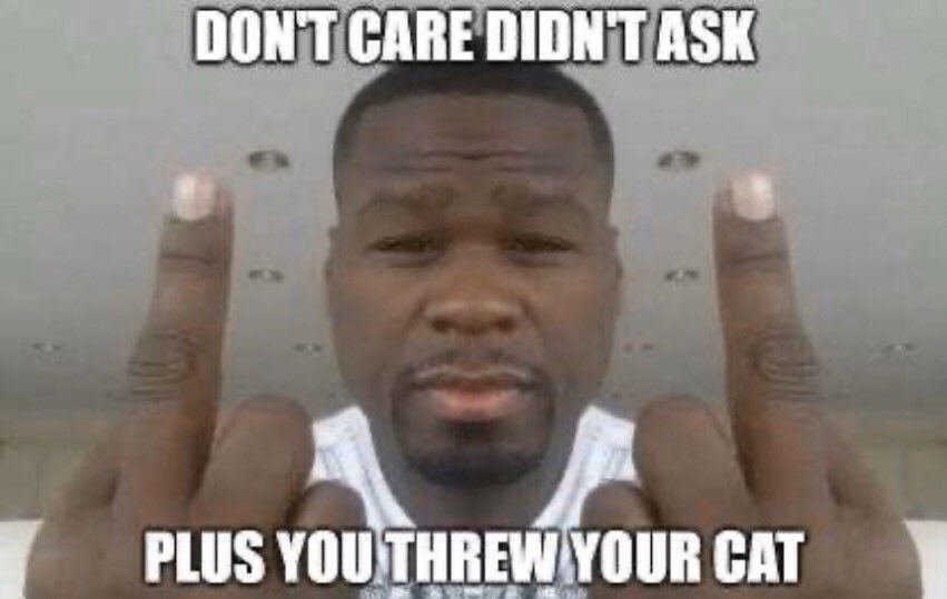 SnurpsA's tweet photo. @Uhhtaticql @snurpslol prob bc i roasted alinity for throwing her cat wit this meme https://t.co/QSc5SqpZ5G