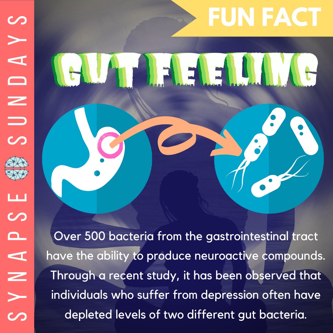 SynapseUofT's tweet photo. Ever heard of the saying, "listen to your gut"? Well, turns out that is now SCIENTIFICALLY A THING! Shocked? Me too! Read more in today's Synapse Sunday! #neuroscience #SynapseSunday #UofT #UTSC https://t.co/yTi20YZV41