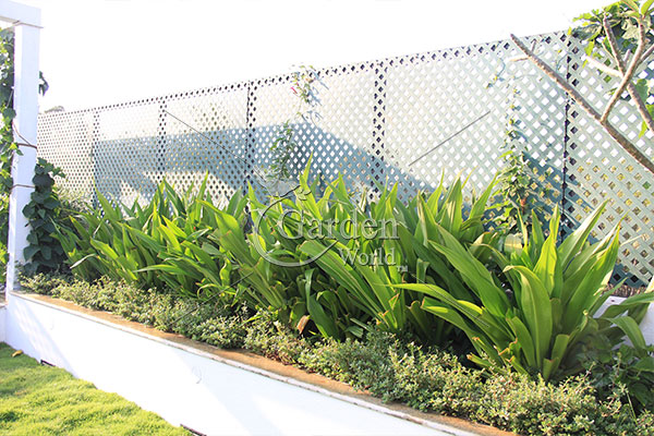 GardenWorld1's tweet photo. #roofgarden #landscapedesign 
Garden world landscaping company assist you in maintaining a purified atmosphere around the house and providing you with healthy and nutritious edibles with roof garden architecture. https://t.co/U5pih52nDC https://t.co/tWRGEnH6e7