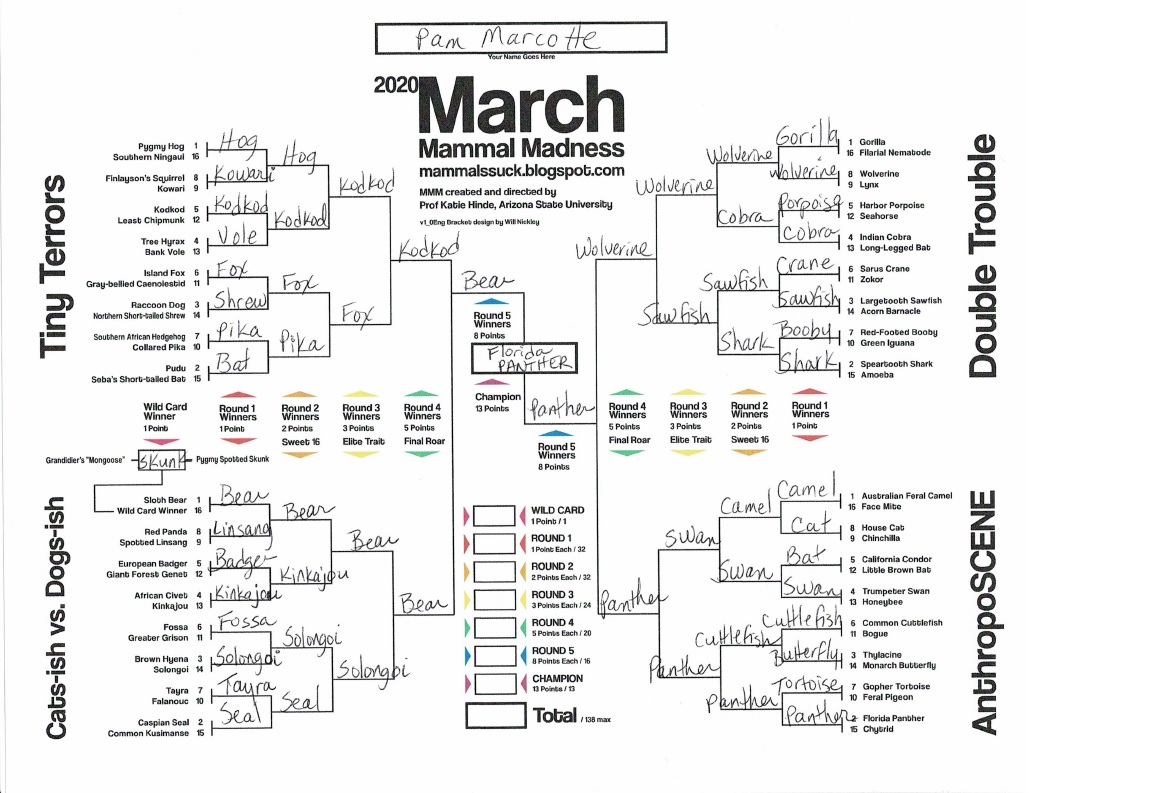pam2cats's tweet photo. My bracket is ready -  let the madness begin!  #MarchMammalMadness  #2020MMM https://t.co/Uas5cI3tMV