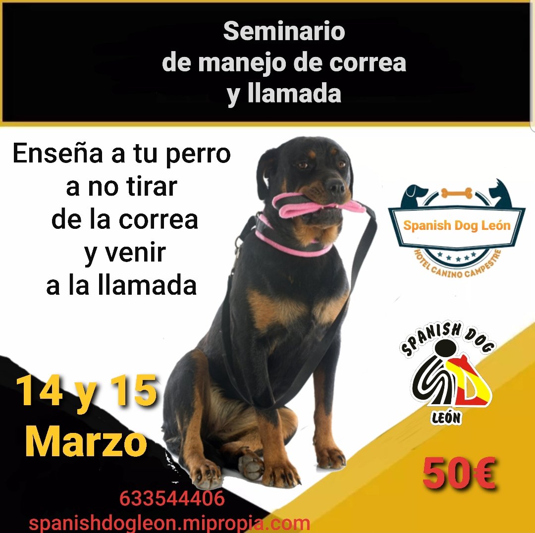 HuertaMonge's tweet photo. No dejes escapar esta oportunidad en #leonesp #Perreo #perros https://t.co/0ahagoKlqE