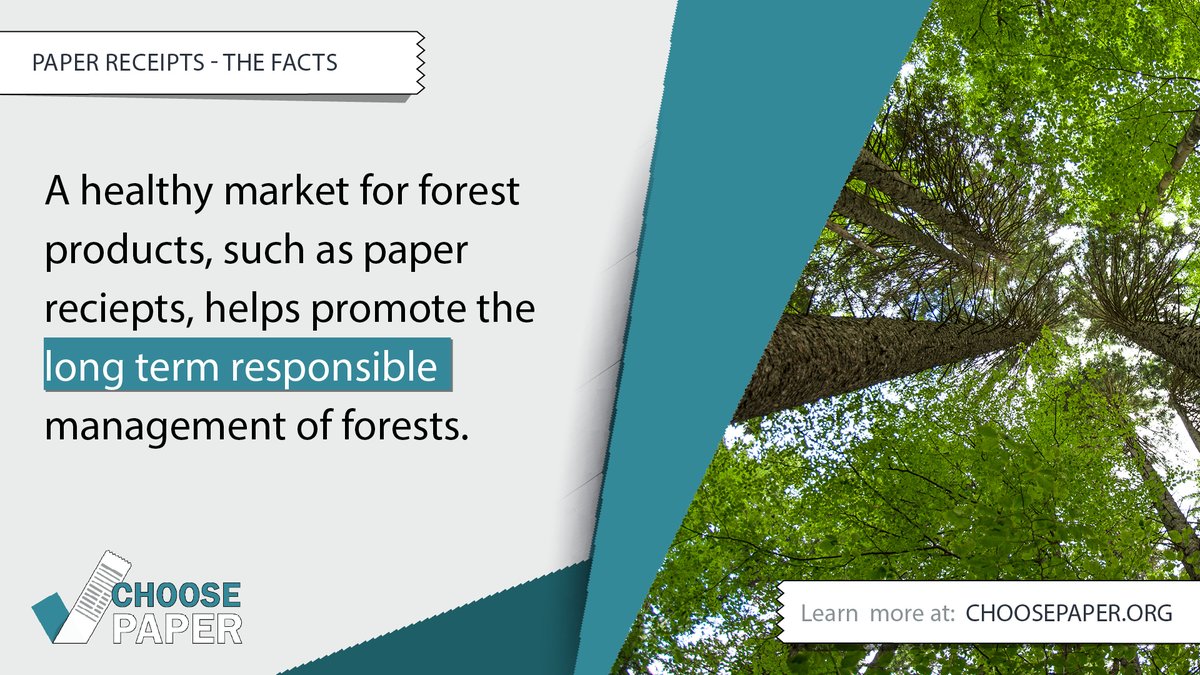 The forest industry has made significant progress in improving sustainability over the last few years and the use of products from sustinanably-mangaed forests is on the increase! 

Find out more facts about the use of paper and forests... bit.ly/35CLvI6

#sustainable