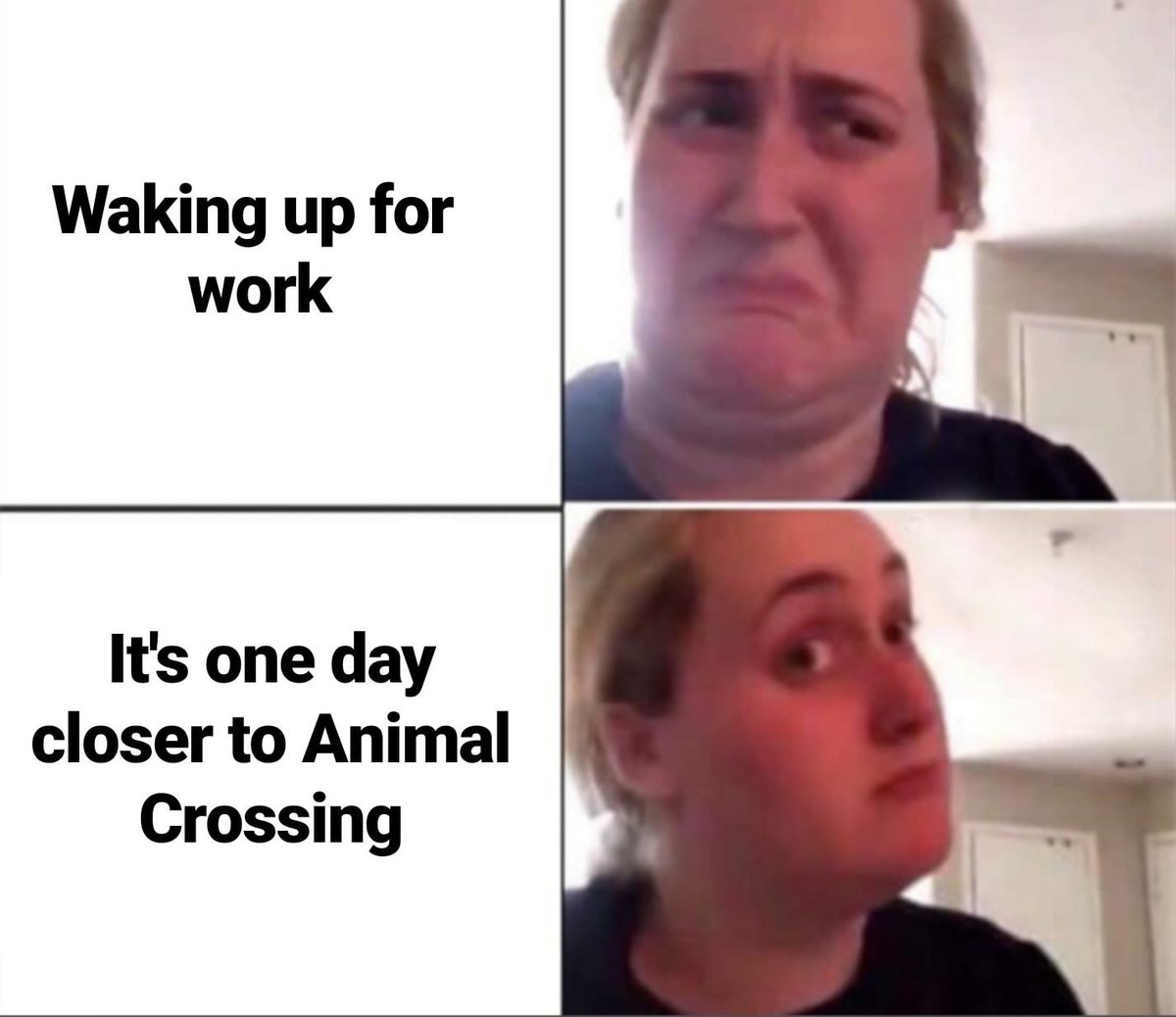 eb games animal crossing console