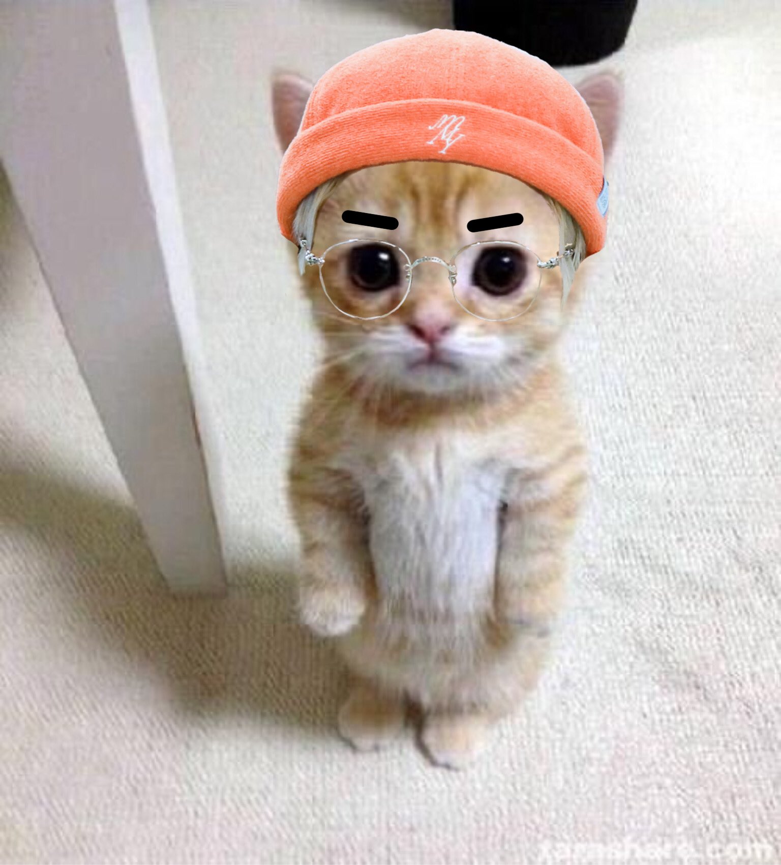 Котенок Мем