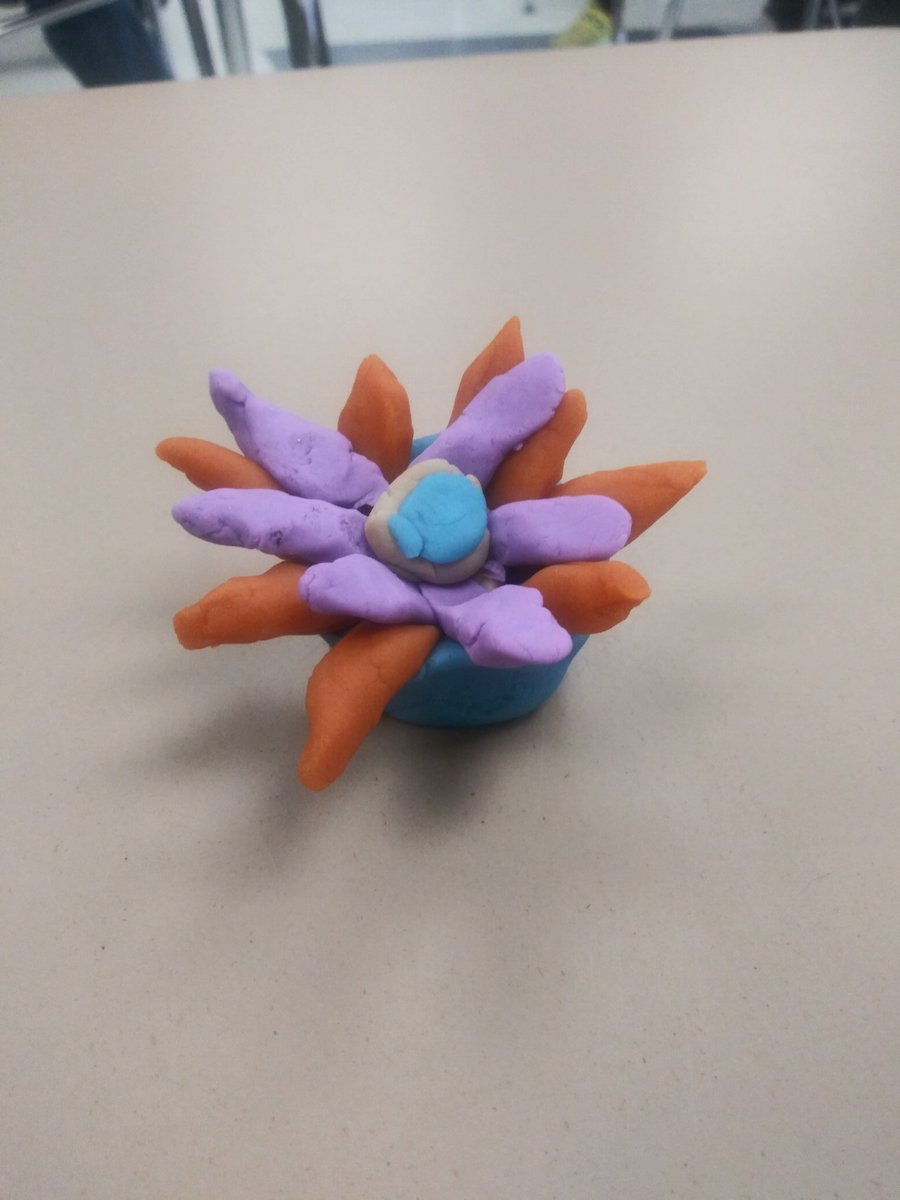 Abbie Smith tweet media