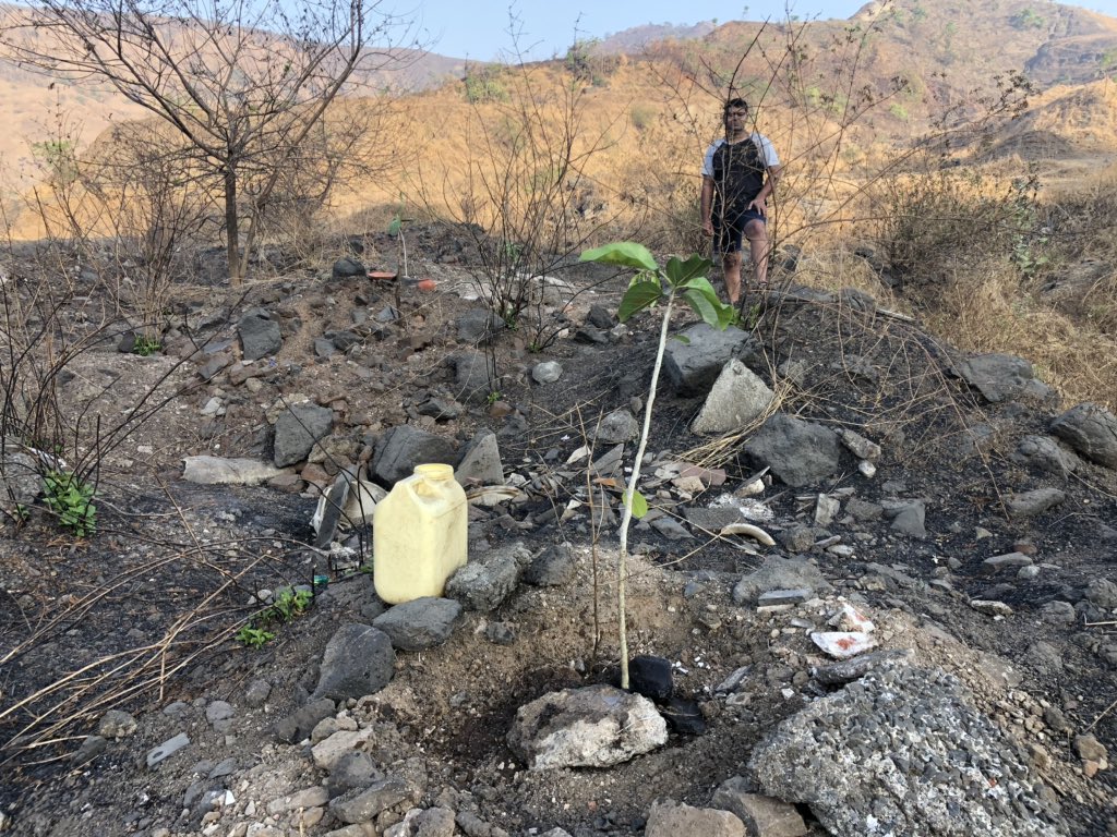 DK_Rise4Green's tweet photo. Date:09Mar2020
#HarEkKaamDeshKeNaam
Making my morning everyday #good by planting trees, watering 100+Trees at the #hills with my team #Paddled to office #to count my #carbon footprints. #lovetobetechm #Rise4Good @MahindraRise @SheetalMehta @PMOIndia @C_P_Gurnani #ISRWAY https://t.co/nyZw6Vxt38