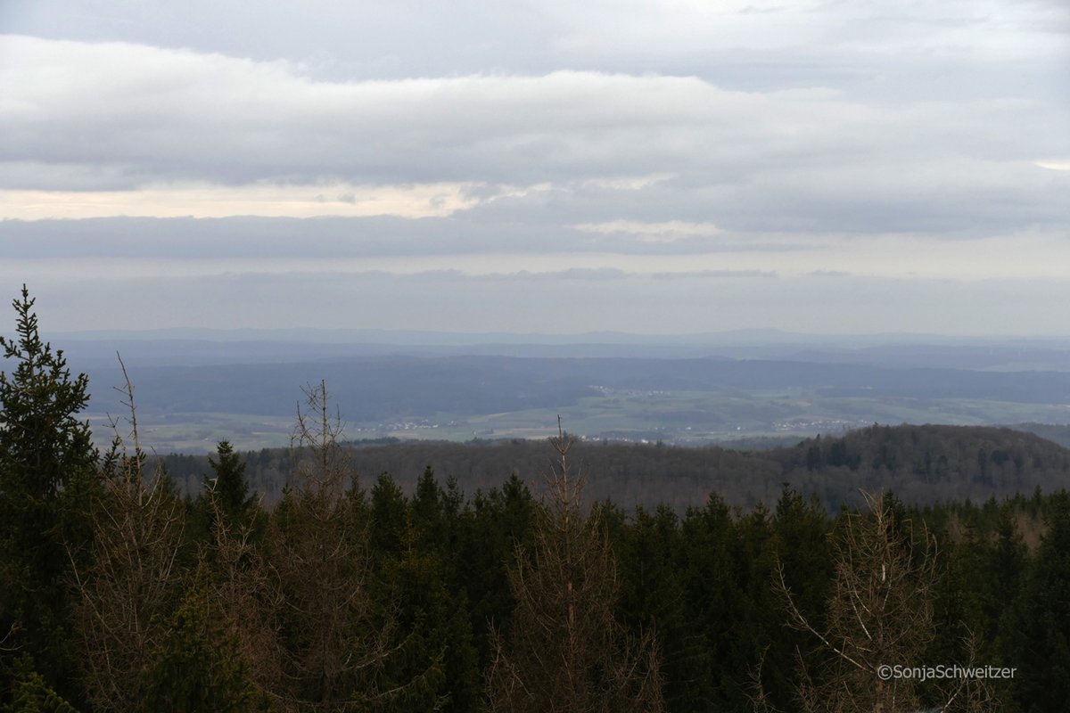 HessenSonja5767's tweet photo. Eine tolle #Aussicht hat man vom #KaiserWilhelmTurm auf der #Sackpfeife …......... #Aussichtsturm #Turm #Denkmal #Ausflugsziel #Rothaargebirge #WaldeckFrankenberg #Waldeck #Frankenberg #Marburg #Biedenkopf #MarburgBiedenkopf #Mittelhessen #Nordhessen #Hessen #Germany https://t.co/Bf9htEg9yq