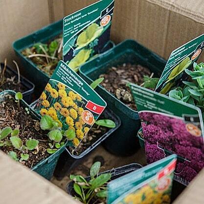 freets_at's tweet photo. Den ersten Schritt vor die Tür nach unserem krankheitsbedingten Ausfall haben wir übrigens genutzt, um mehr Blumen und einen (wohl den letzten vorerst) Baum für unsren Garten zu kaufen. Am Wochenende wird dann alles eingepflanzt und wieder mal ordentlich… https://t.co/jVhUiPAKwY https://t.co/Q4tF180Pg9