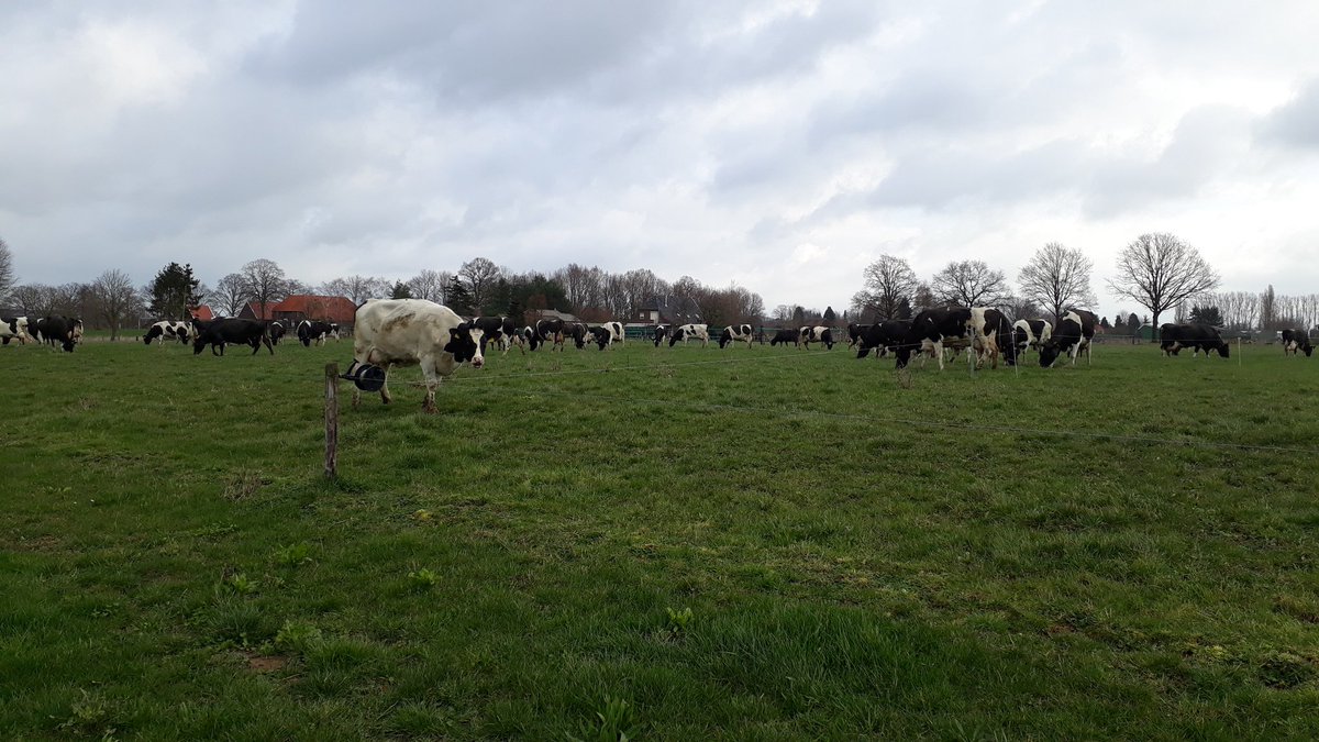 Tom Keuper tweet media