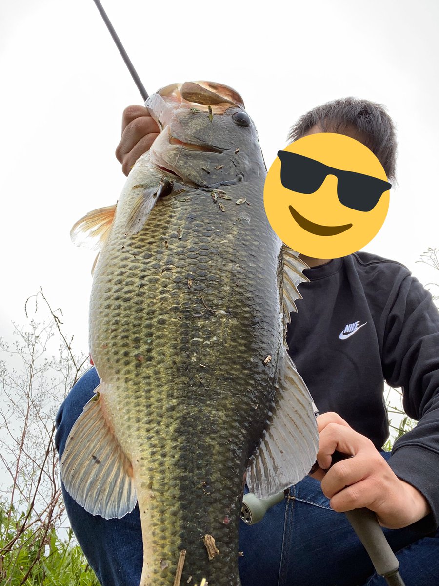 ari_syuto's tweet photo. 2020年 初バスが遠賀川のモンスター！
遠賀クオリティの54センチ✌️
無風から風が吹きはじめたタイミングと船の引き波が重なった瞬間のドッカンバイト😇
 #ism #CARVER #ドライブシャッド https://t.co/LW2aEmjX5r