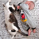赤ちゃんと飼猫のシンクロ率が凄すぎると話題の画像!かわいい～～～～～!