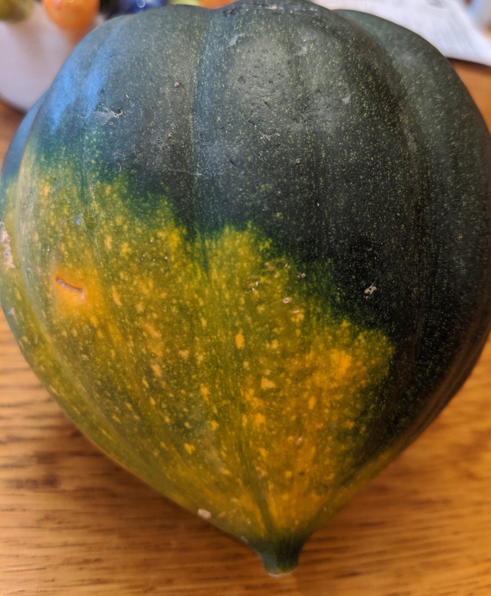Rassasyme's tweet photo. Week 29 – Acorn Squash https://t.co/qLghVyH9Hi https://t.co/nMzDiXL8XB