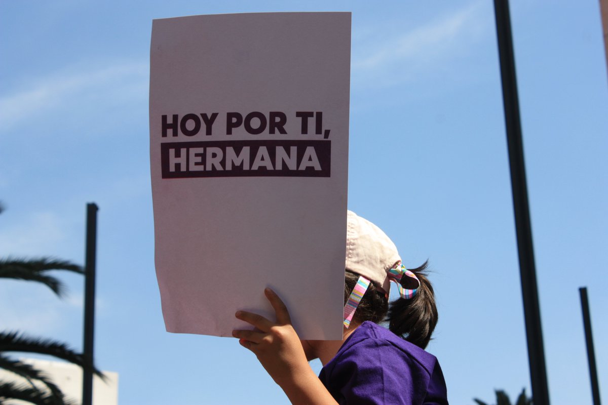 Fernanda Vázquez Vela tweet media