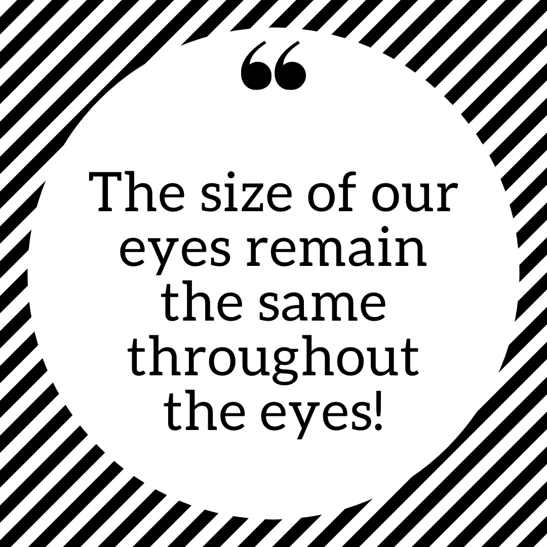 itek_vision's tweet photo. Eye fact
.
.
#eyefact #eyetips #eyecare #eyes #eyestime #eyecenter #eyecarecenter #itek #itekvisioncenter #itek #visioncenter #itekhospital #noida #delhi #itekvisioncenter #delhi #delhincr #eyehospital #noidahospital #hospital #facts #factstoremember #factstonote #note #notes https://t.co/IpYv1yCDUg