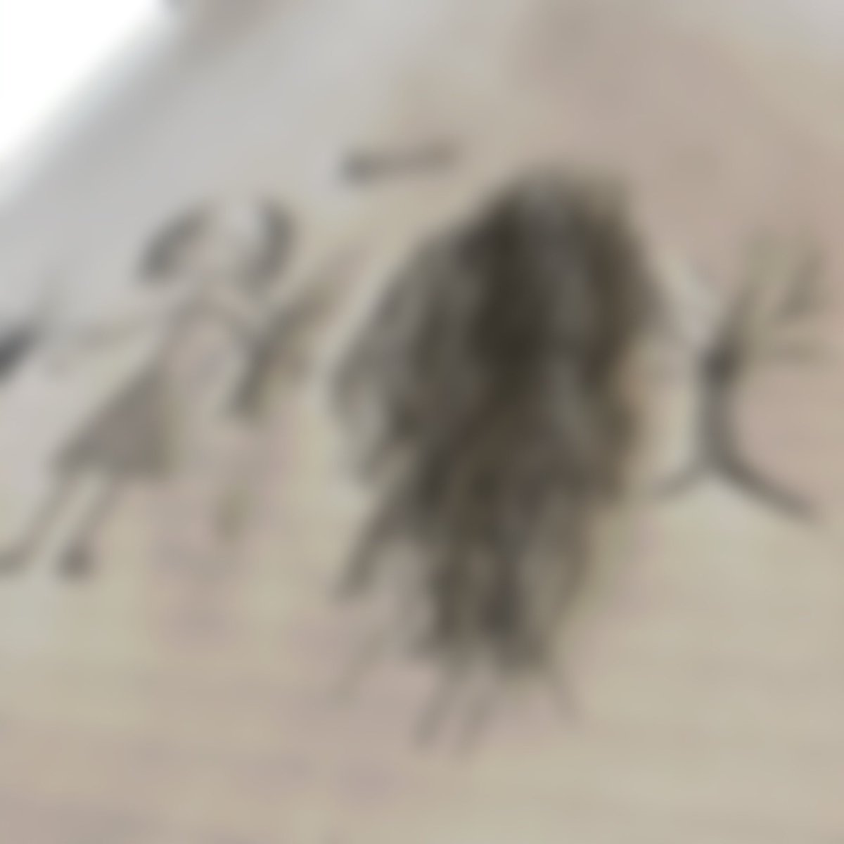 田中義男 (@yosio_tanaka_) / Posts / X